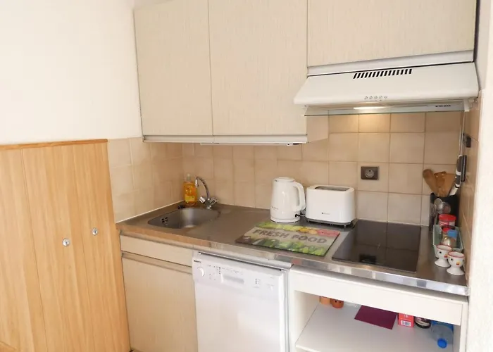 Apartment T2 Pour 4 Pers Avec Parking A - Fr-1-457-273 *